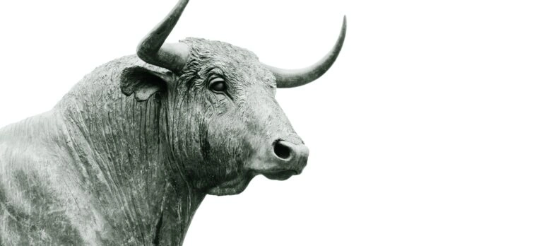 Concrete Bull