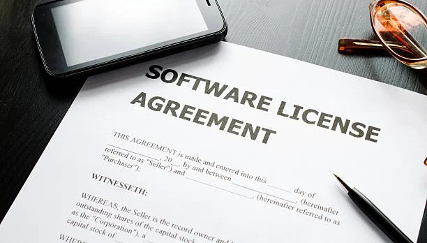 SaaS Licensing Agreement
